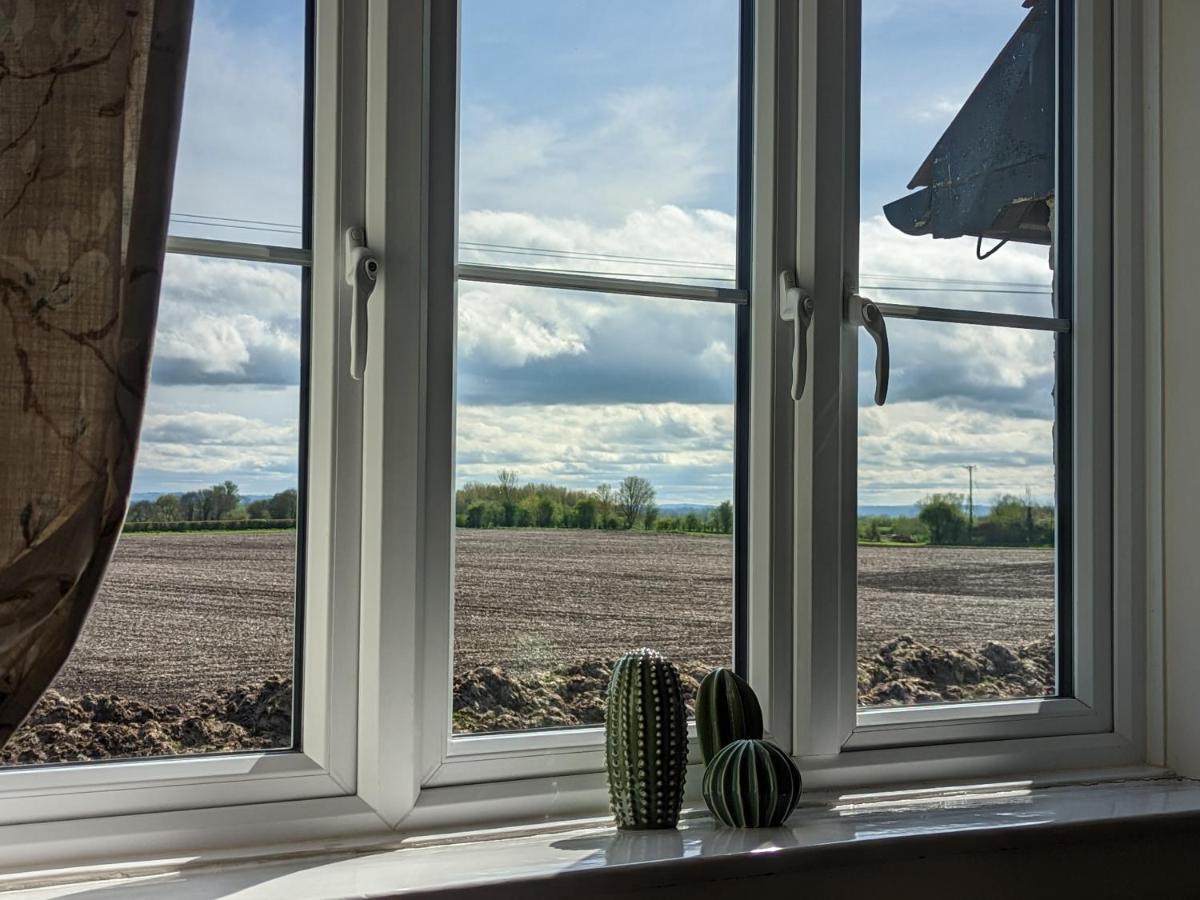 Cosy Family Cottage South Somerset Long Sutton  ภายนอก รูปภาพ